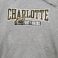 Mens Grey Champion Charlotte Forty-Niners Hoodie Jumper