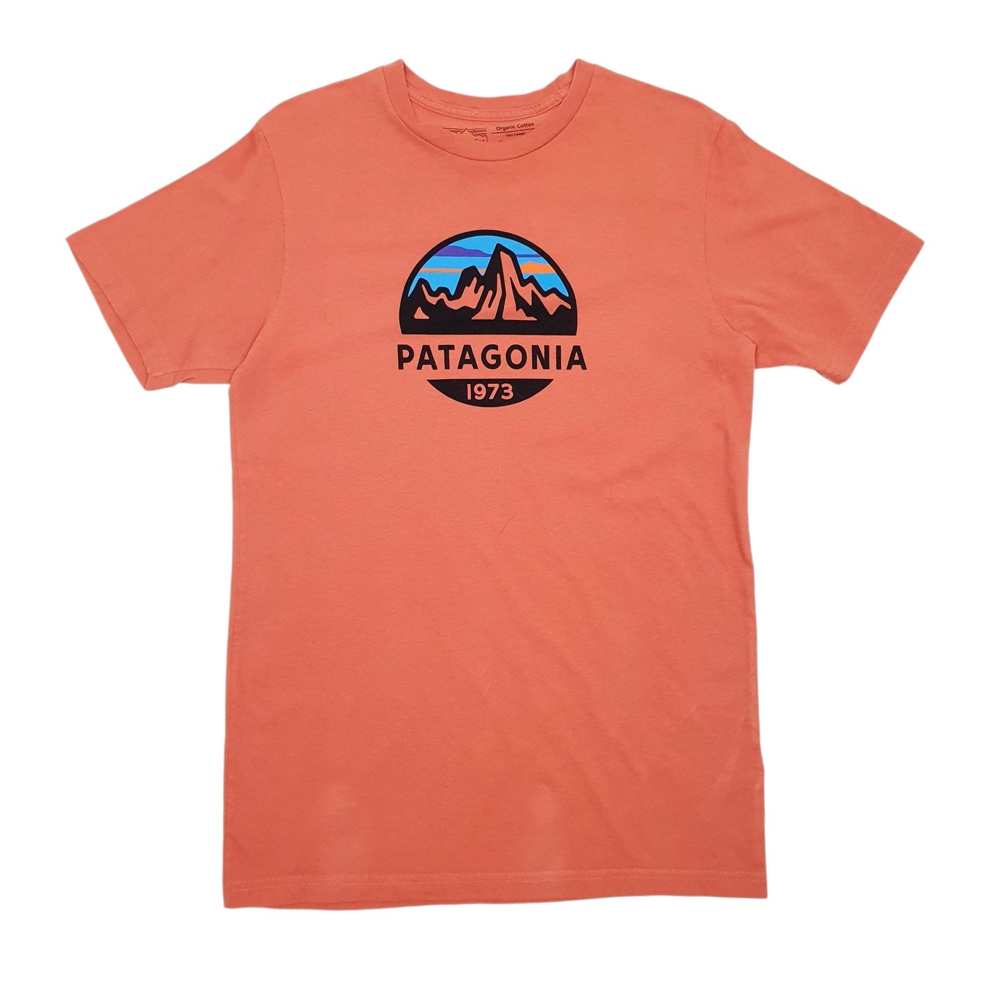 Mens Orange Patagonia Spellout Slim Fit Short Sleeve T Shirt