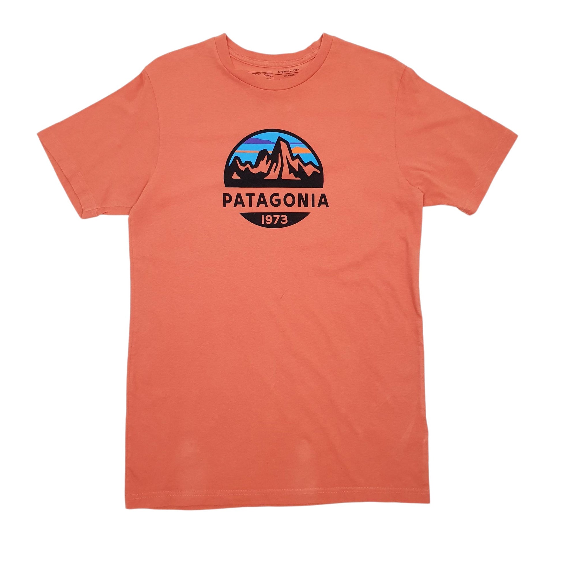Mens Orange Patagonia Spellout Slim Fit Short Sleeve T Shirt