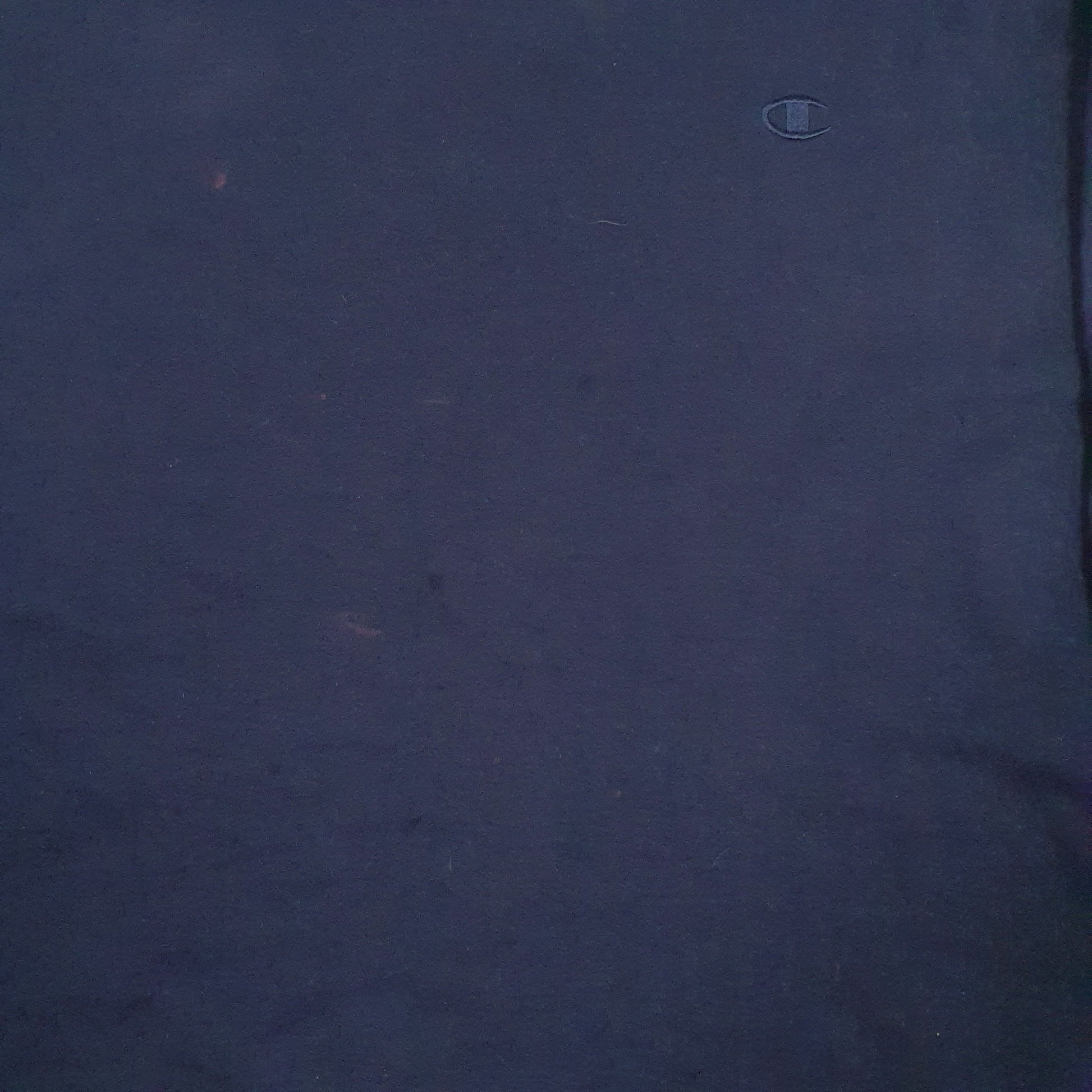 Mens Navy Champion  Crewneck Jumper