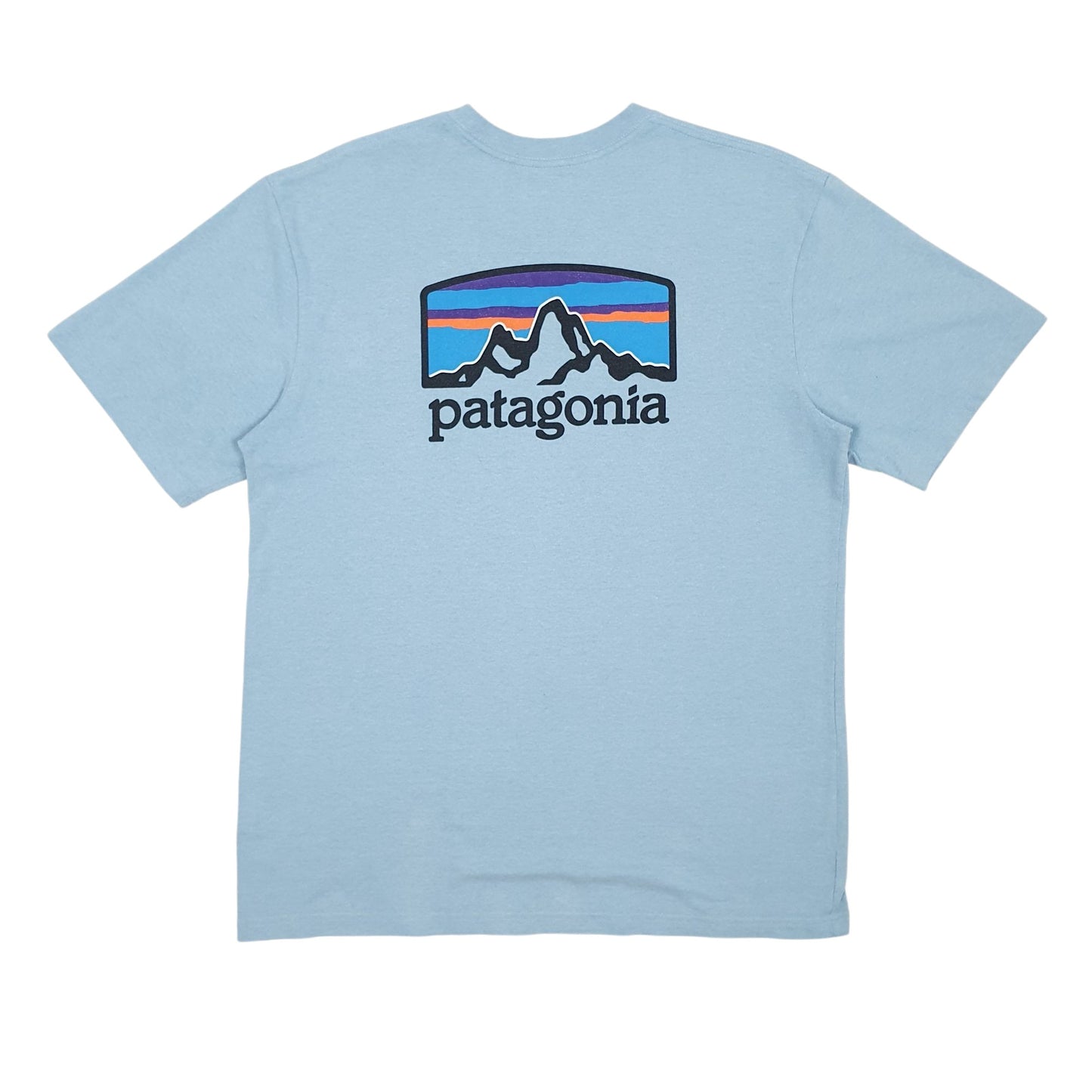 Mens Blue Patagonia   T Shirt