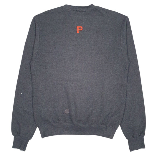 Mens Grey Champion Princeton University Crewneck Jumper
