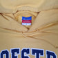 Mens Yellow Champion Hofstra University Hoodie Jumper