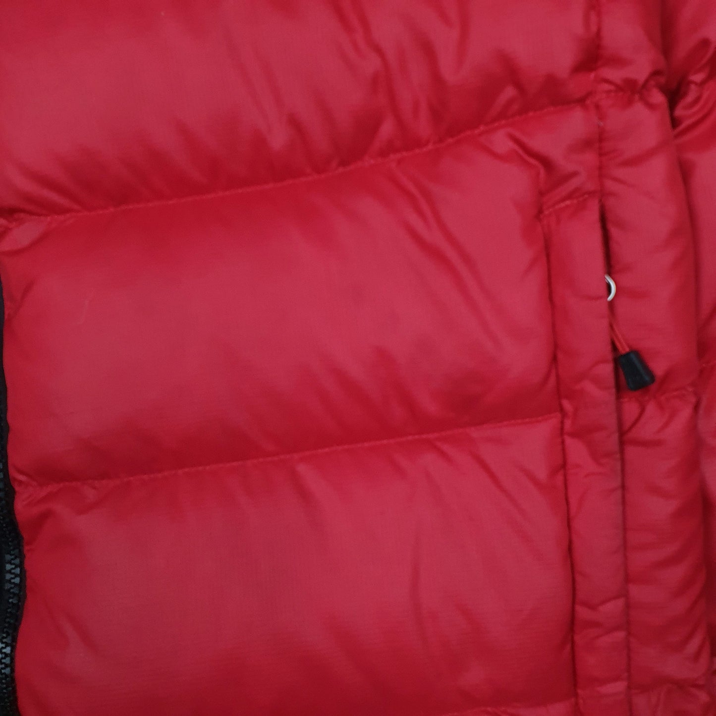 Mens Red The North Face Nuptse  Coat