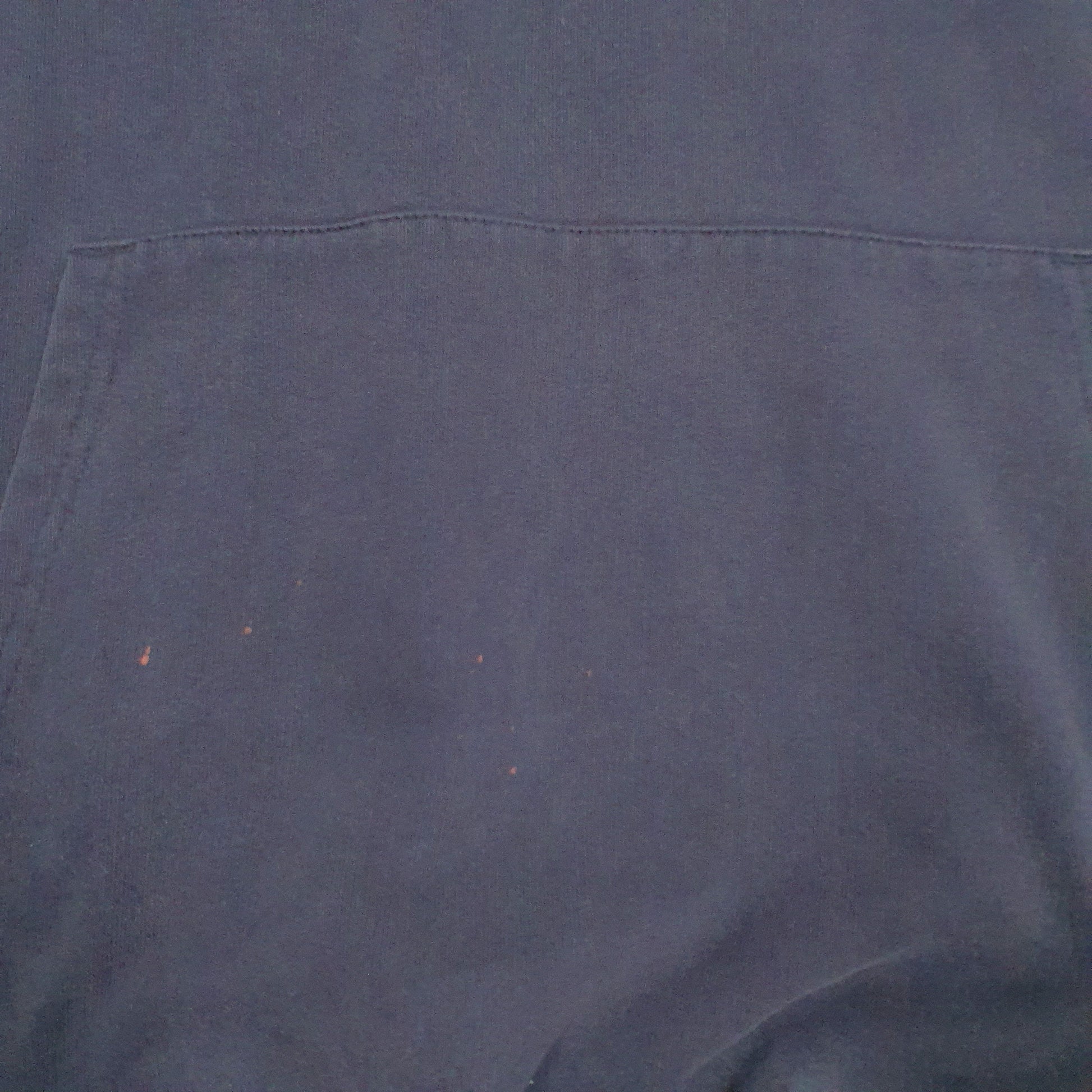 Mens Navy Champion St. Lawrence Lions Hoodie Jumper