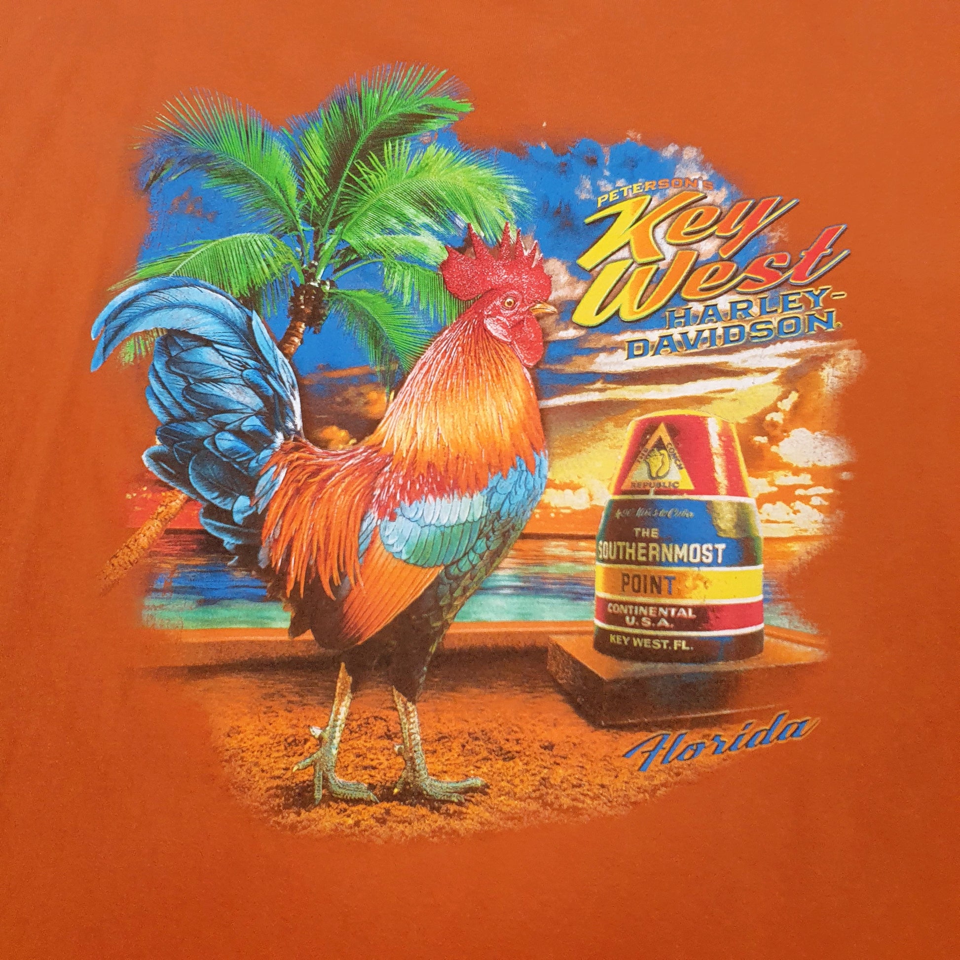 Mens Orange Harley Davidson   T Shirt