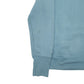 Mens Blue Champion Spellout Hoodie Jumper