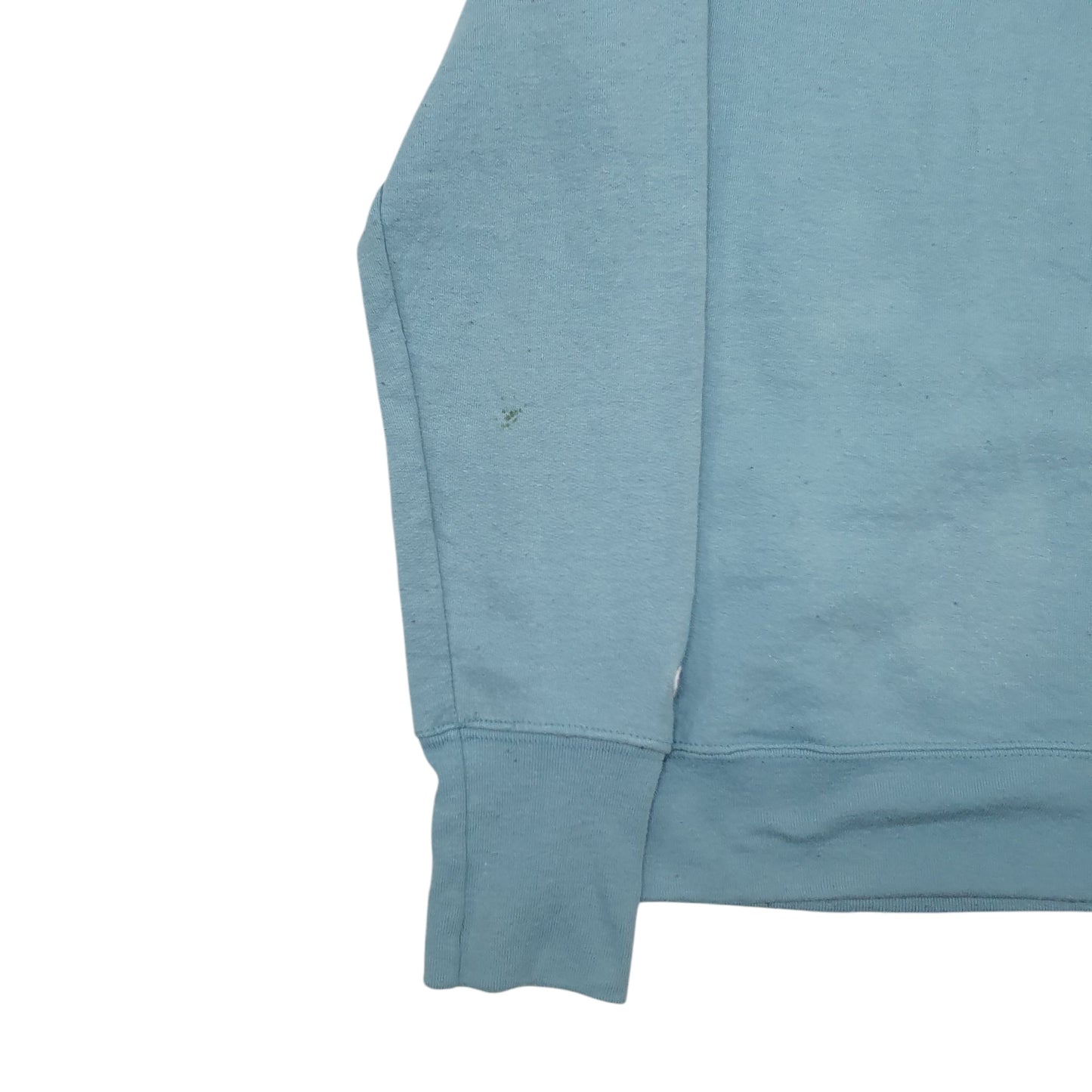 Mens Blue Champion Spellout Hoodie Jumper