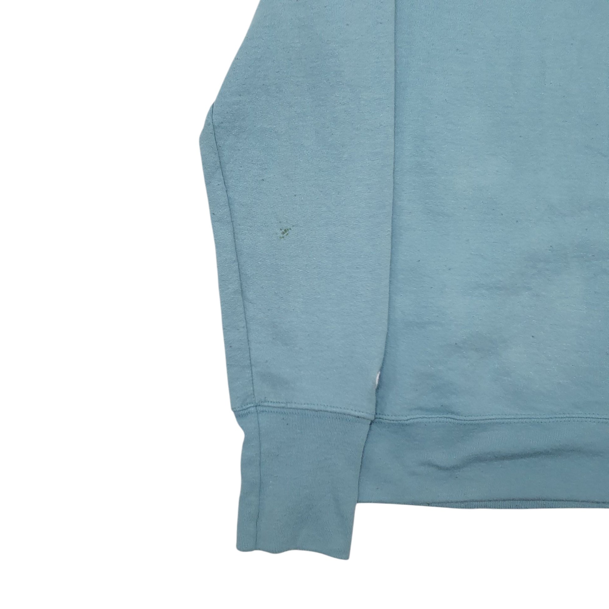 Mens Blue Champion Spellout Hoodie Jumper
