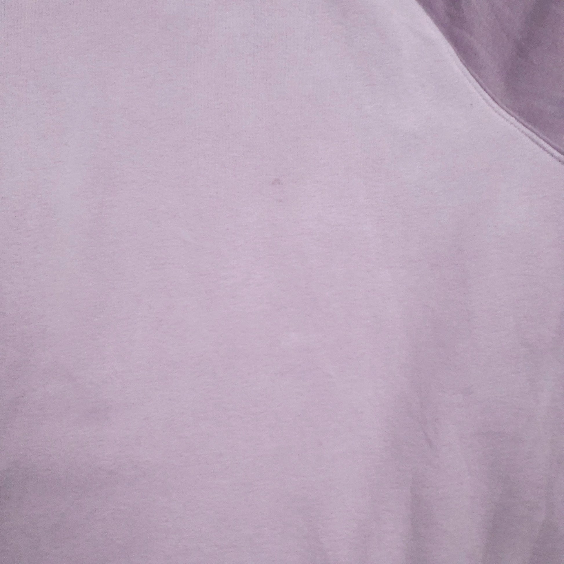 Mens Purple Champion Spellout Hoodie Jumper