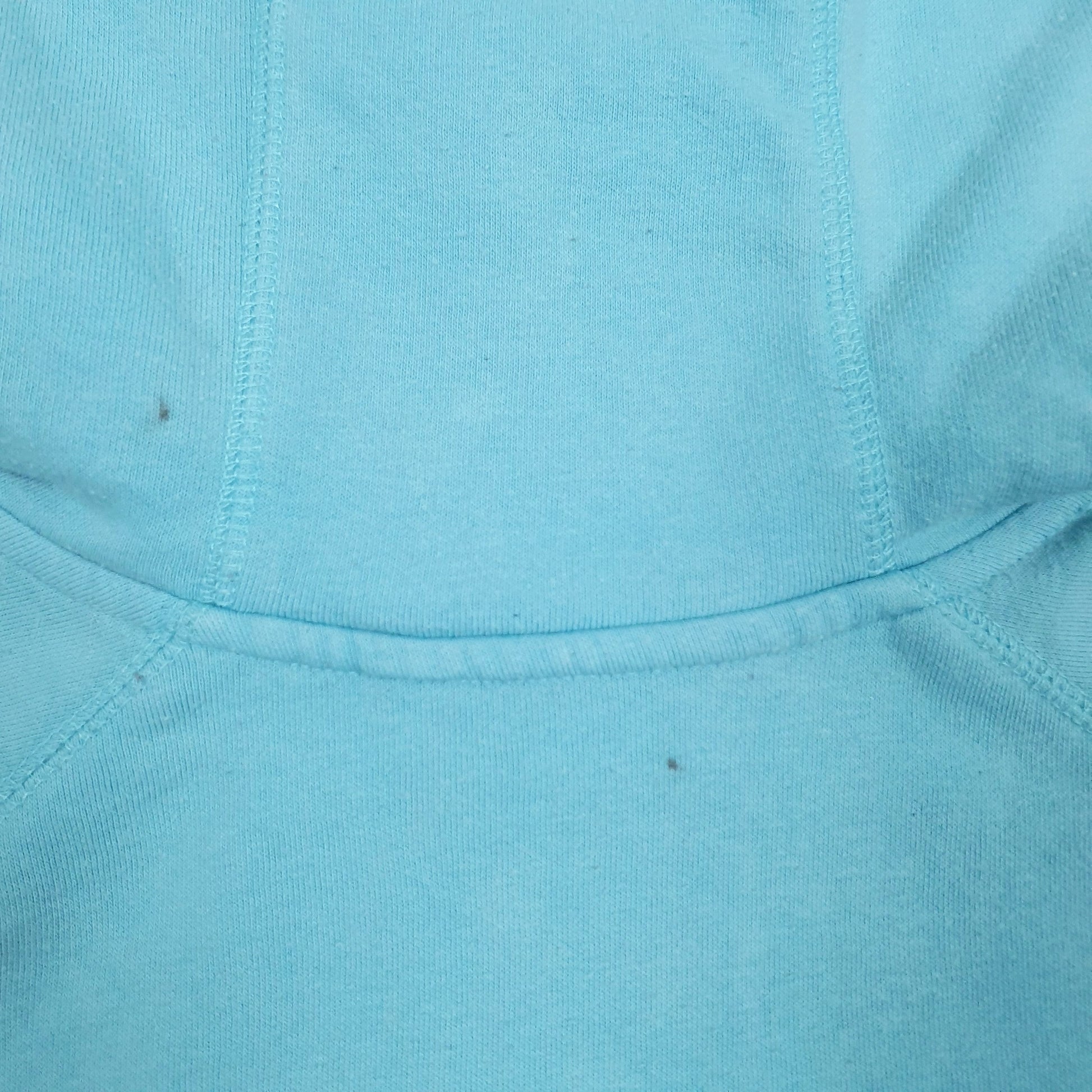 Womens Blue The North Face Spellout Hoodie Jumper