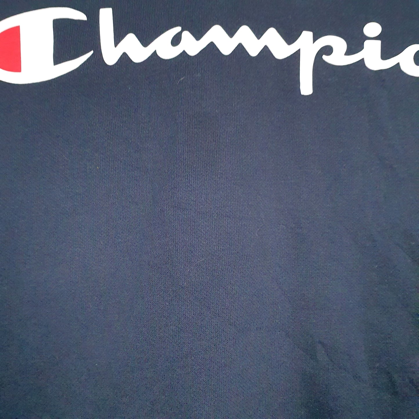 Mens Navy Champion Spellout Hoodie Jumper