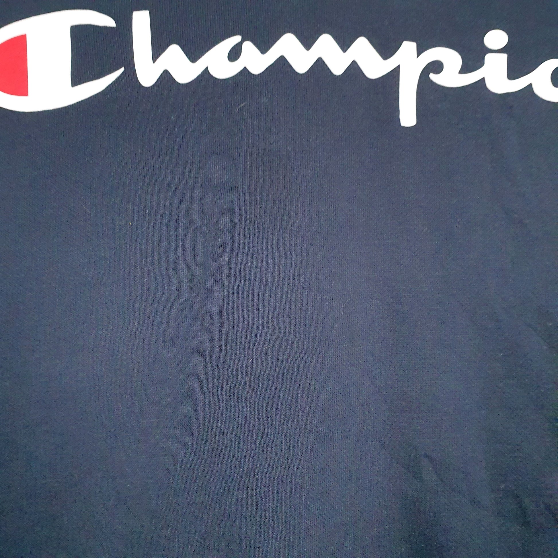 Mens Navy Champion Spellout Hoodie Jumper