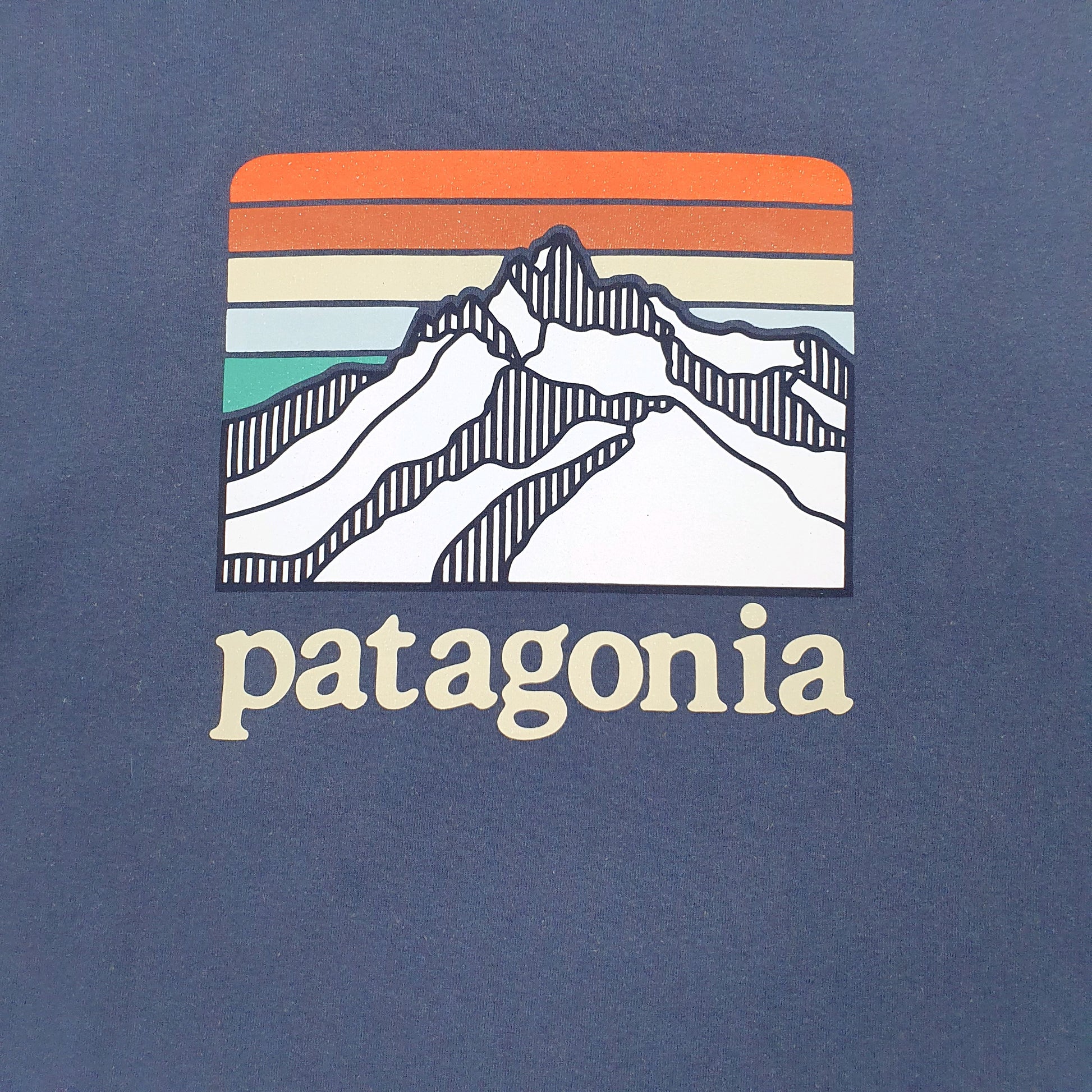 Mens Navy Patagonia   T Shirt