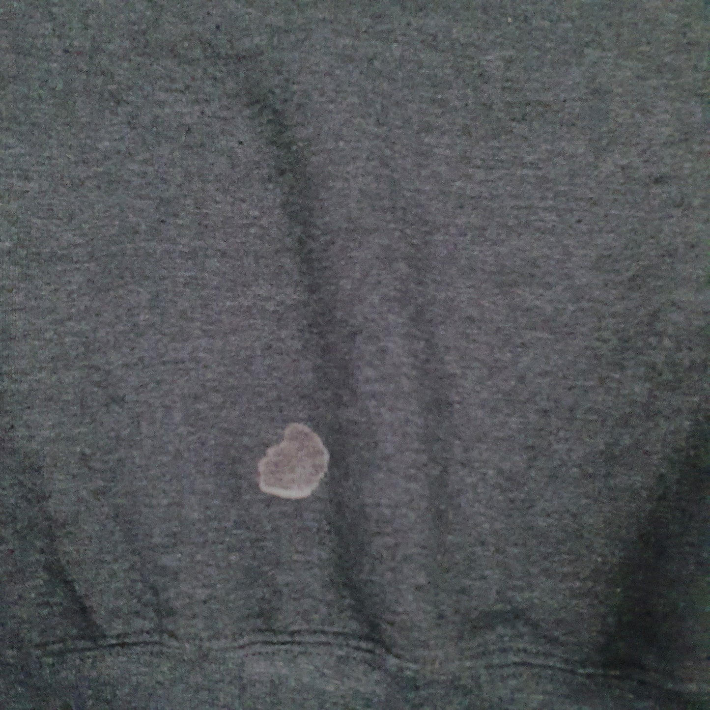 Mens Grey Champion Princeton University Crewneck Jumper