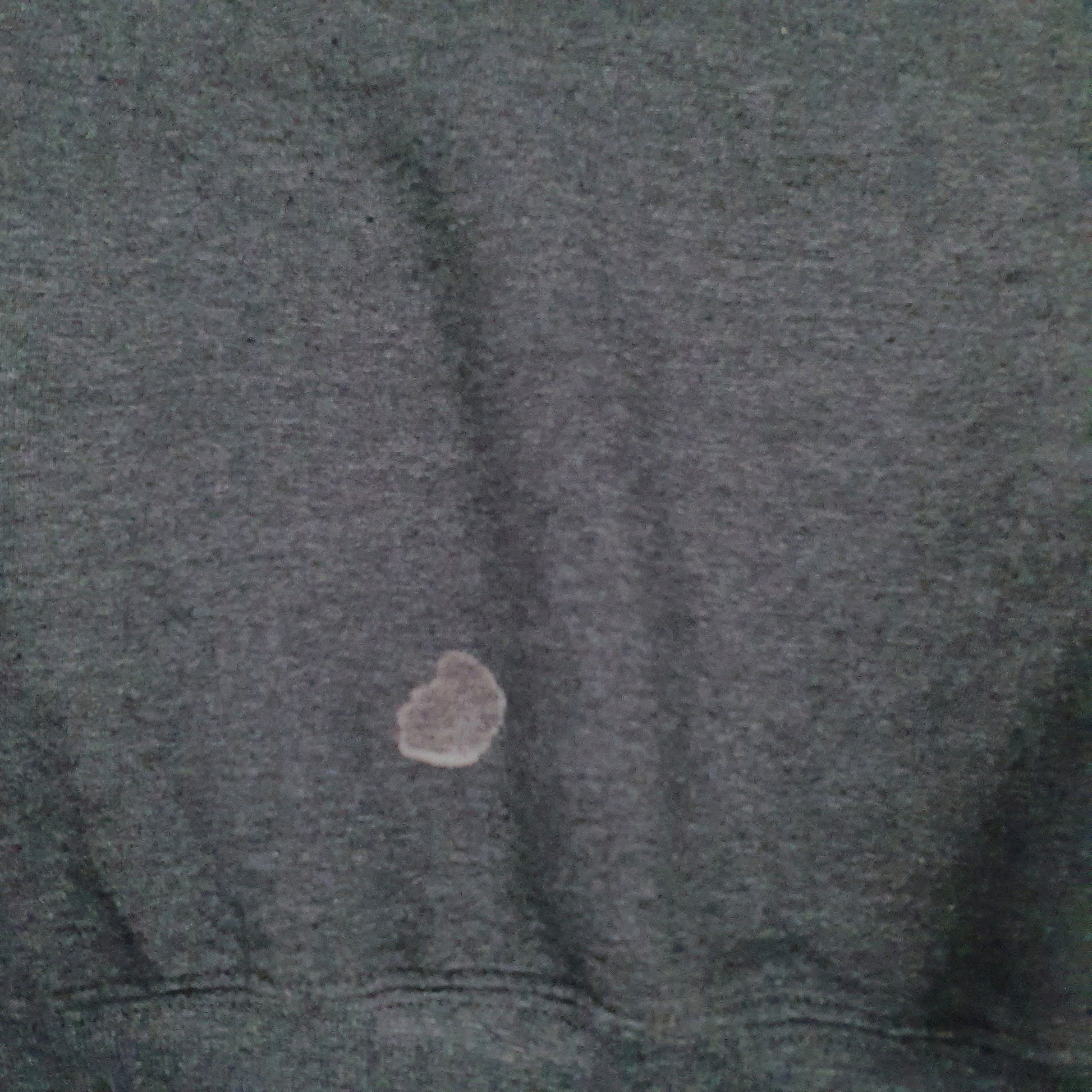 Mens Grey Champion Princeton University Crewneck Jumper