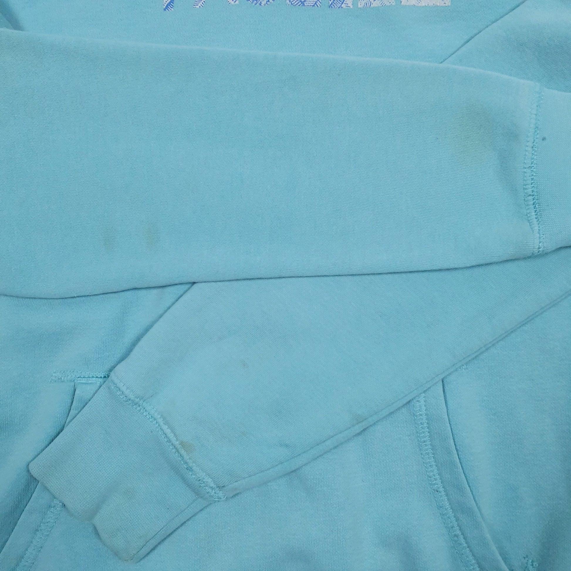 Womens Blue The North Face Spellout Hoodie Jumper