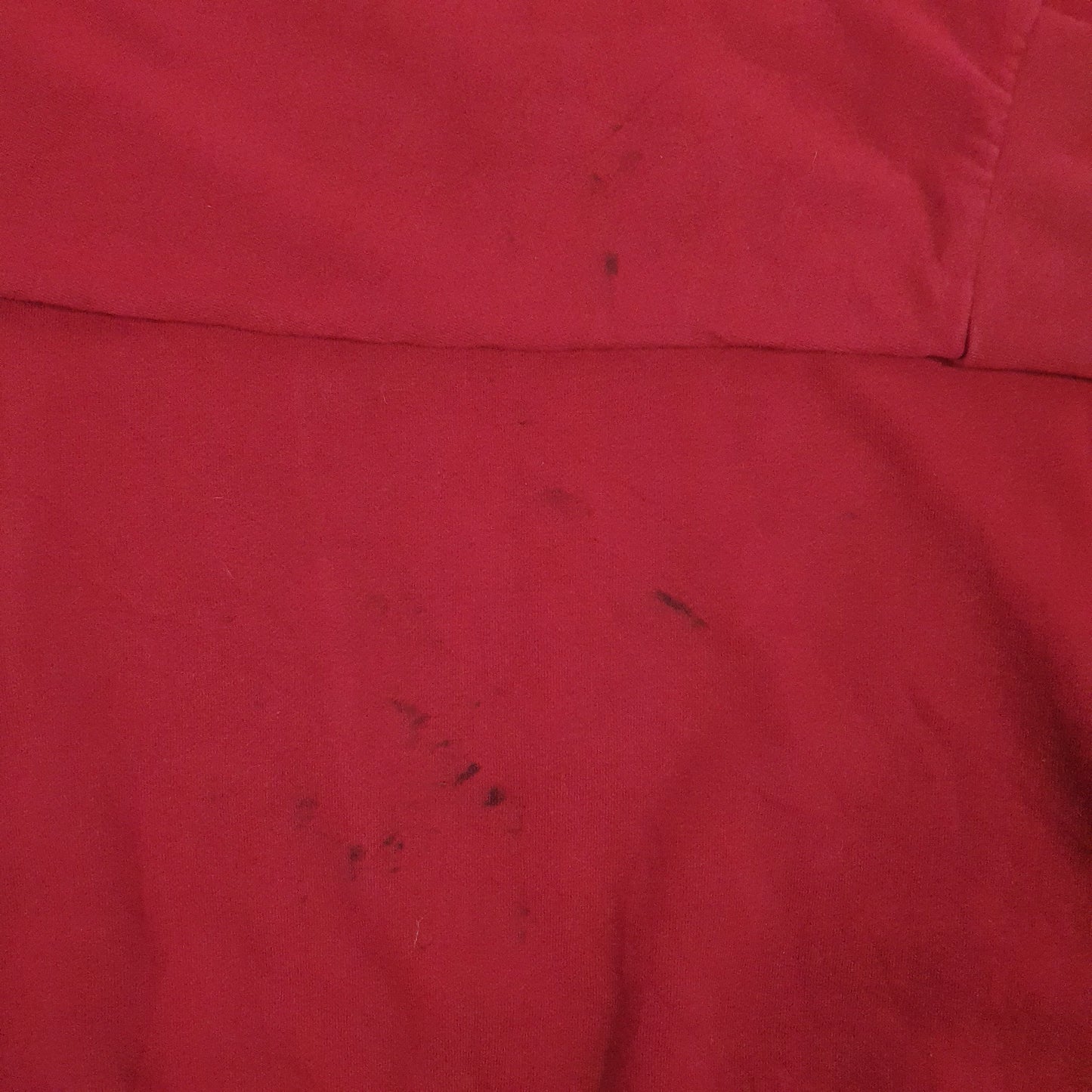 Mens Red Champion Carolina Gamecocks Crewneck Jumper