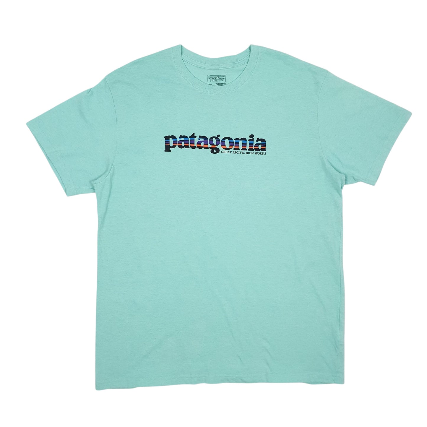 Mens Green Patagonia Spellout Short Sleeve T Shirt