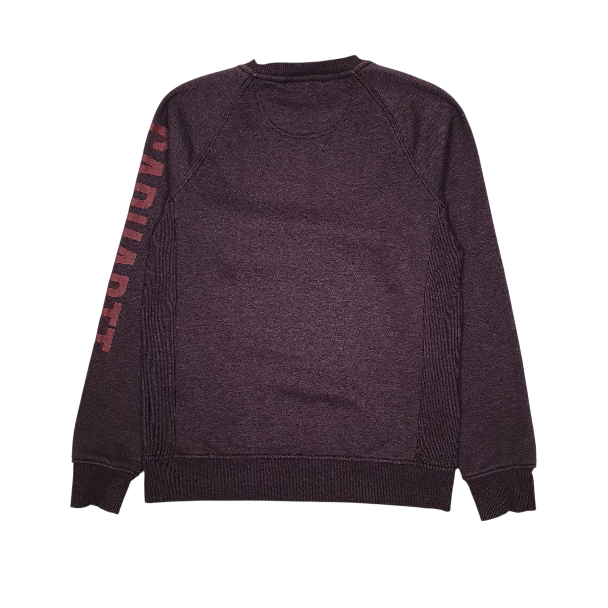 Womens Purple Carhartt  Crewneck Jumper