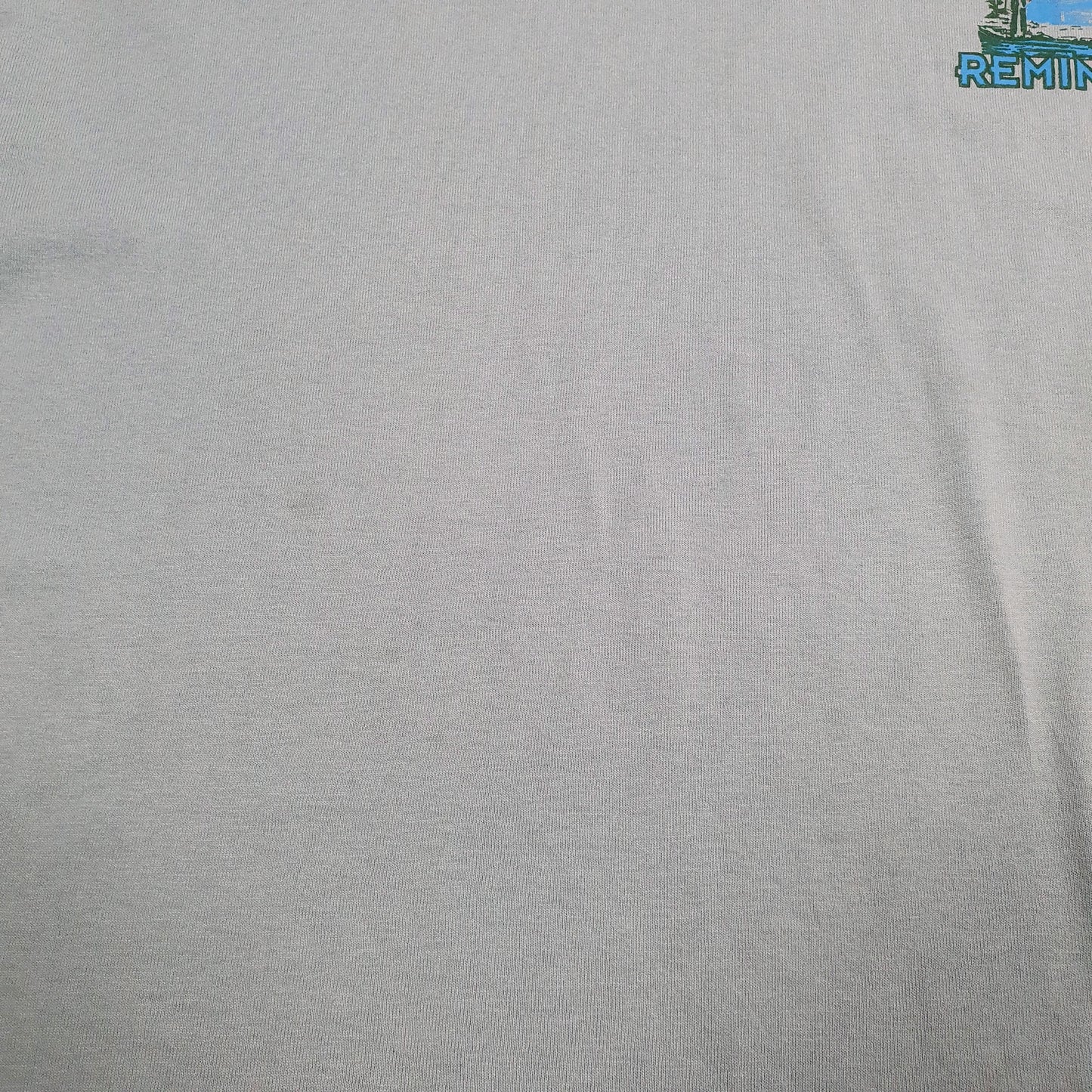 Mens Blue Fruit Of The Loom Single Stitch Vintage 90s Fountain Park Indiana  T Shirt