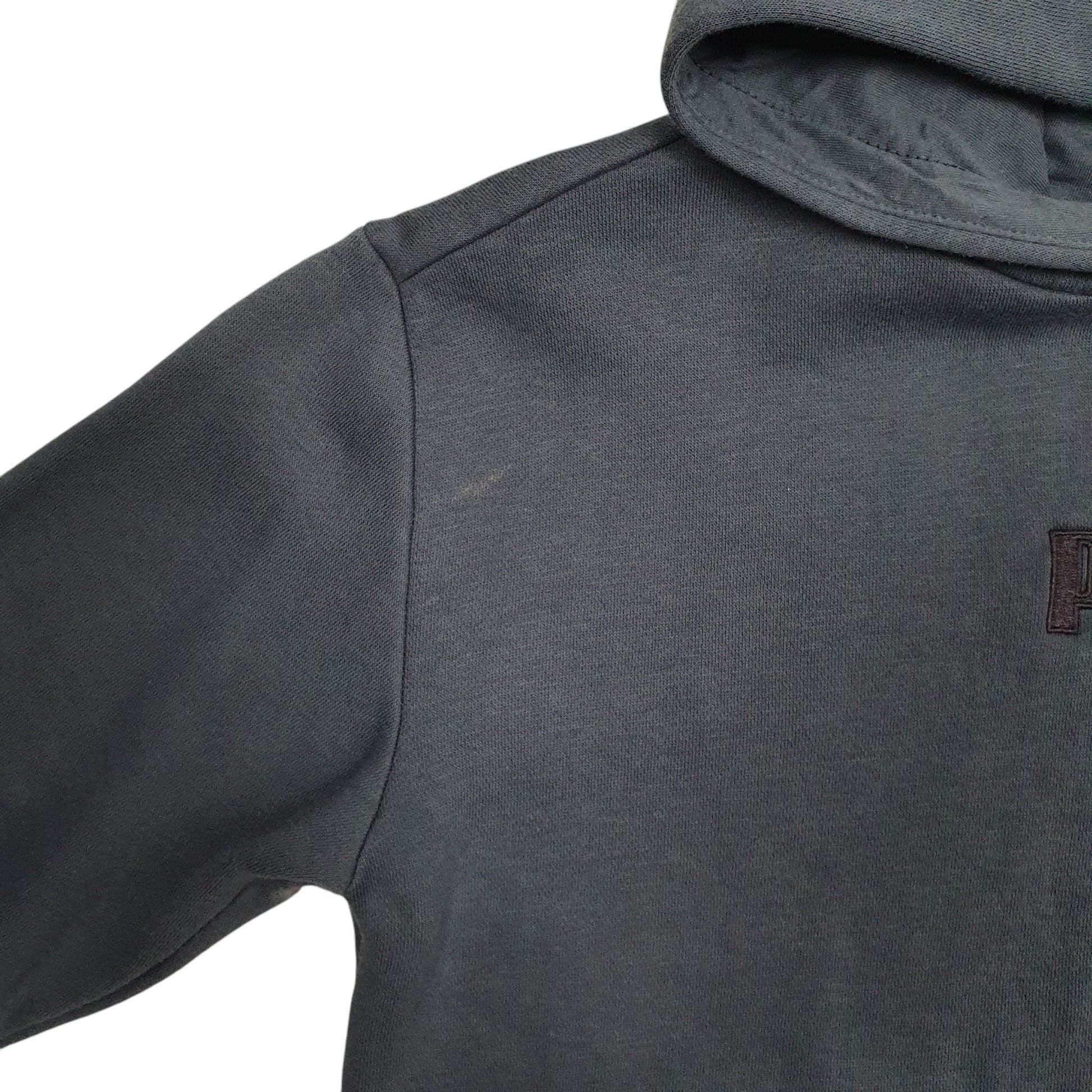 Mens Blue Puma  Hoodie Jumper