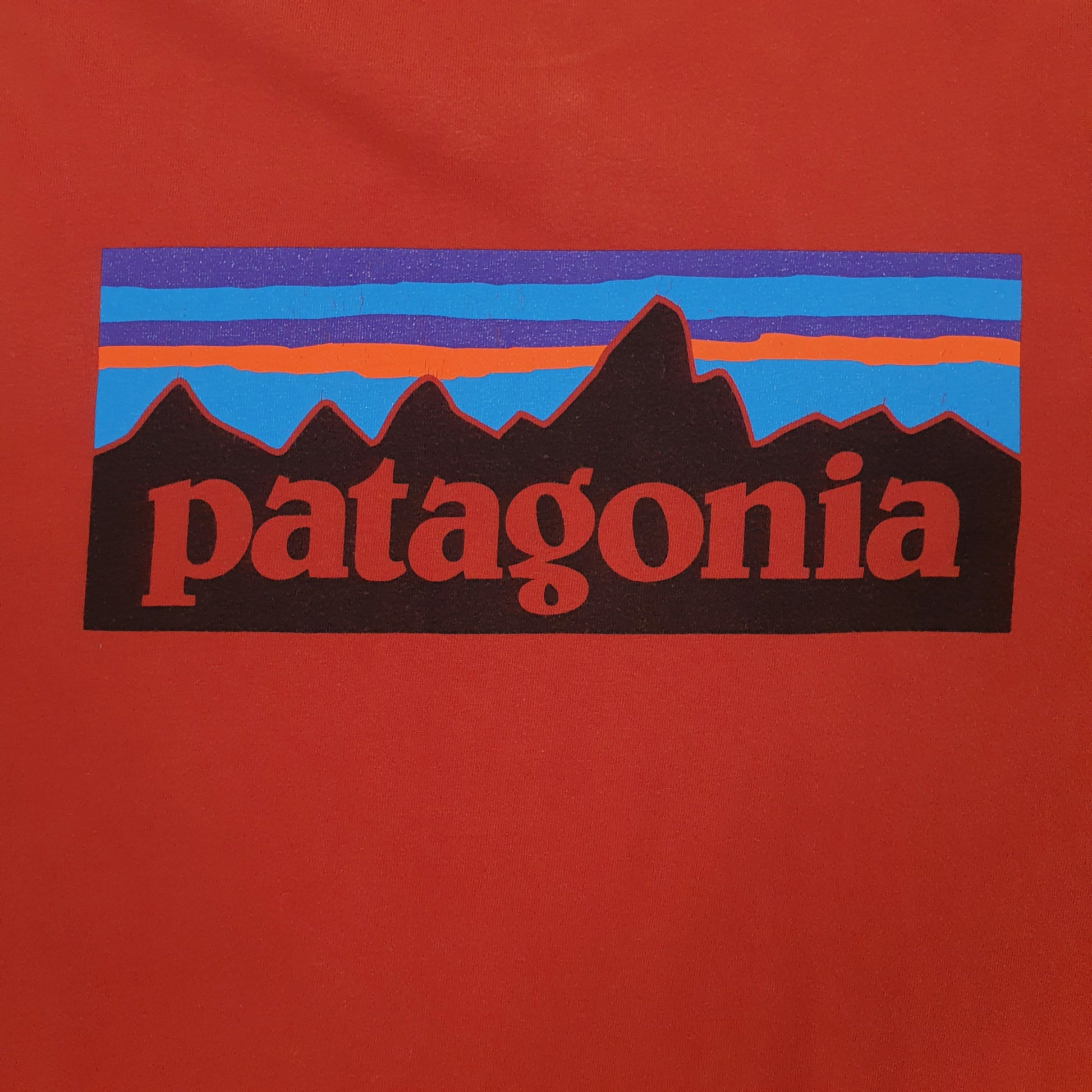 Mens Orange Patagonia   T Shirt