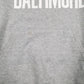 Mens Grey Champion University Of Baltimore Hoodie Jumper