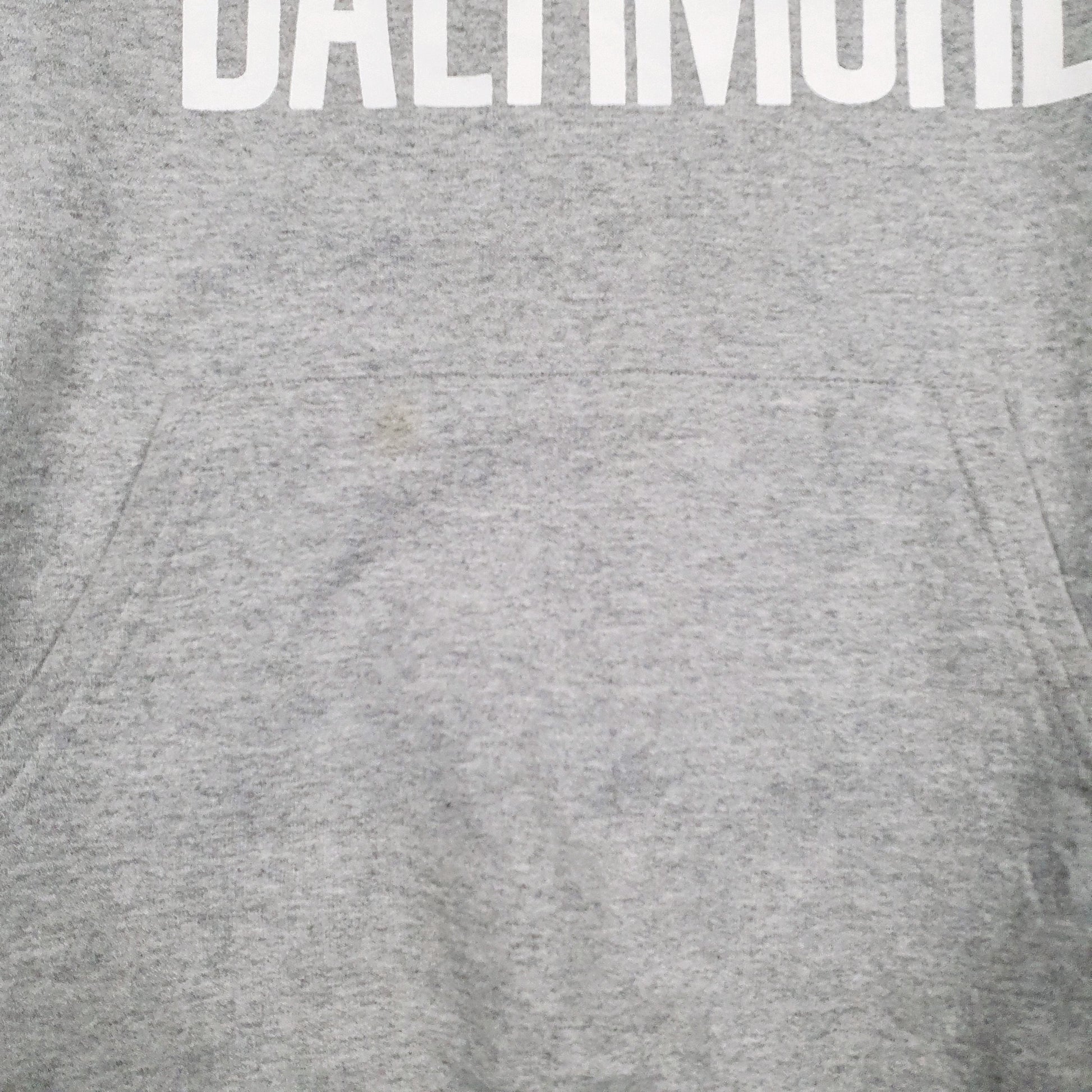 Mens Grey Champion University Of Baltimore Hoodie Jumper