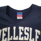 Mens Navy Champion Wellesley Reverse Weave Vintage 2000s Crewneck Jumper