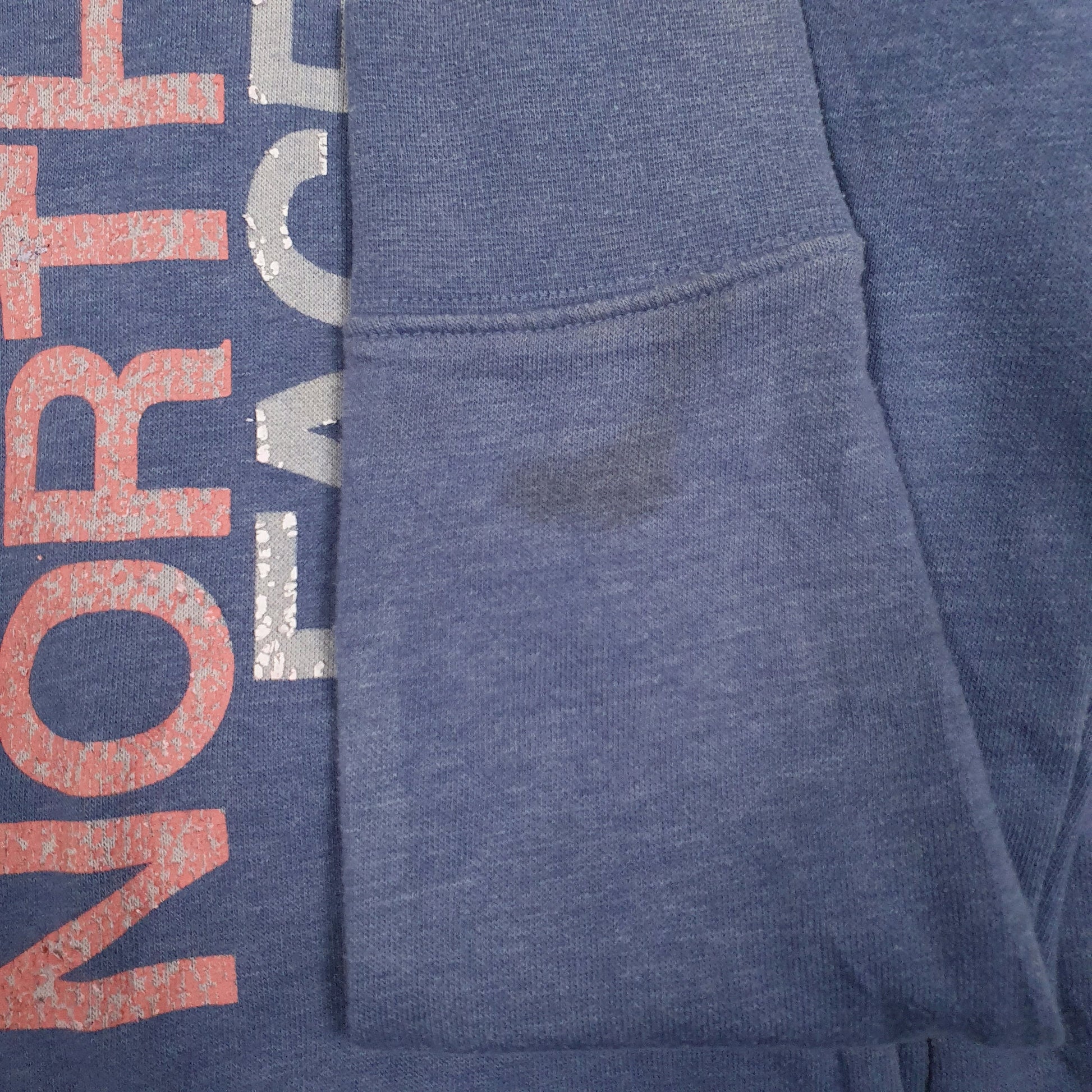 Womens Blue The North Face Spellout Hoodie Jumper