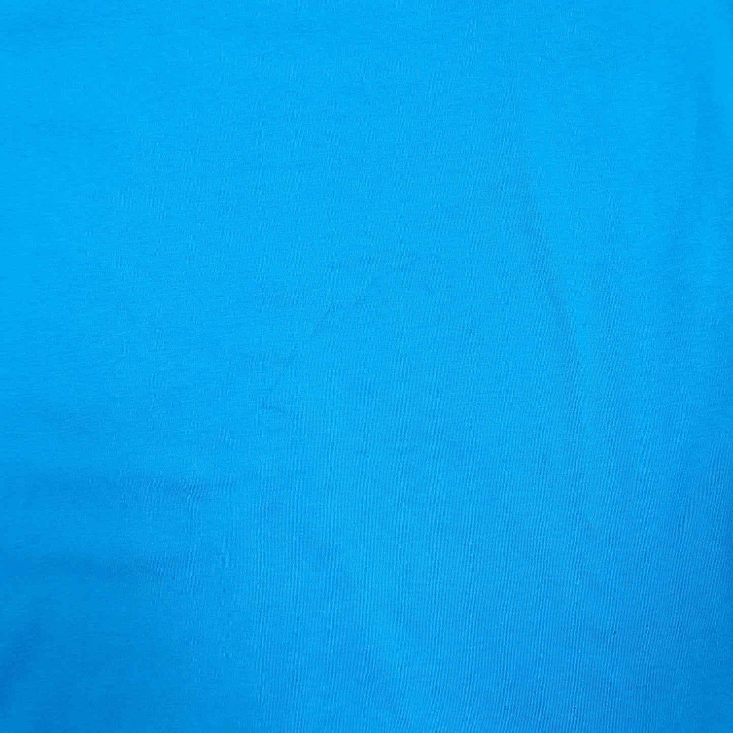 Mens Blue Polo Ralph Lauren   Polo Shirt