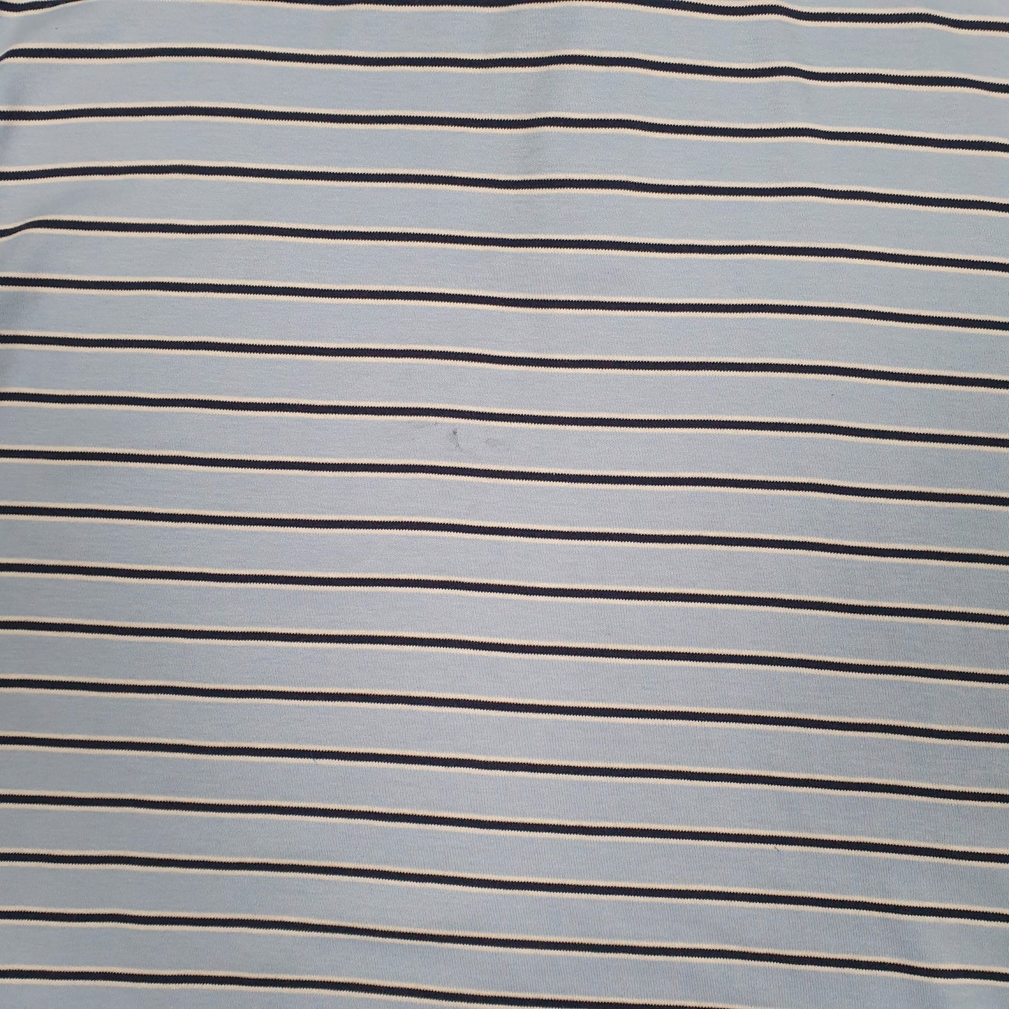 Mens Blue Polo Ralph Lauren   Polo Shirt