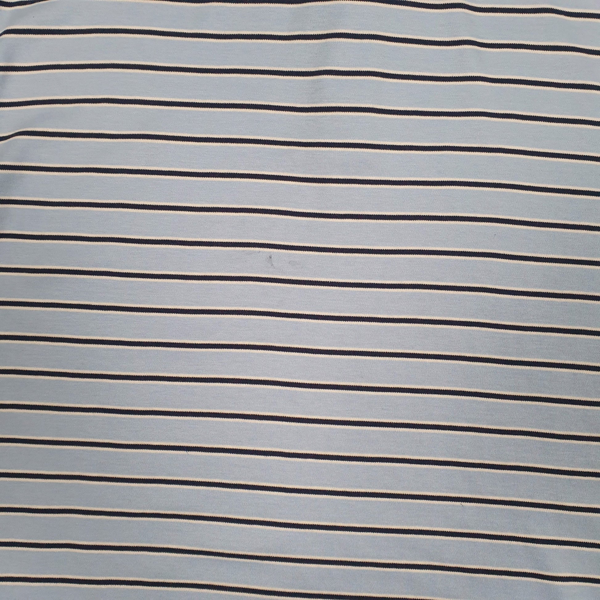 Mens Blue Polo Ralph Lauren   Polo Shirt