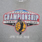 Mens Grey Gildan Basketball Tampa Florida  T Shirt