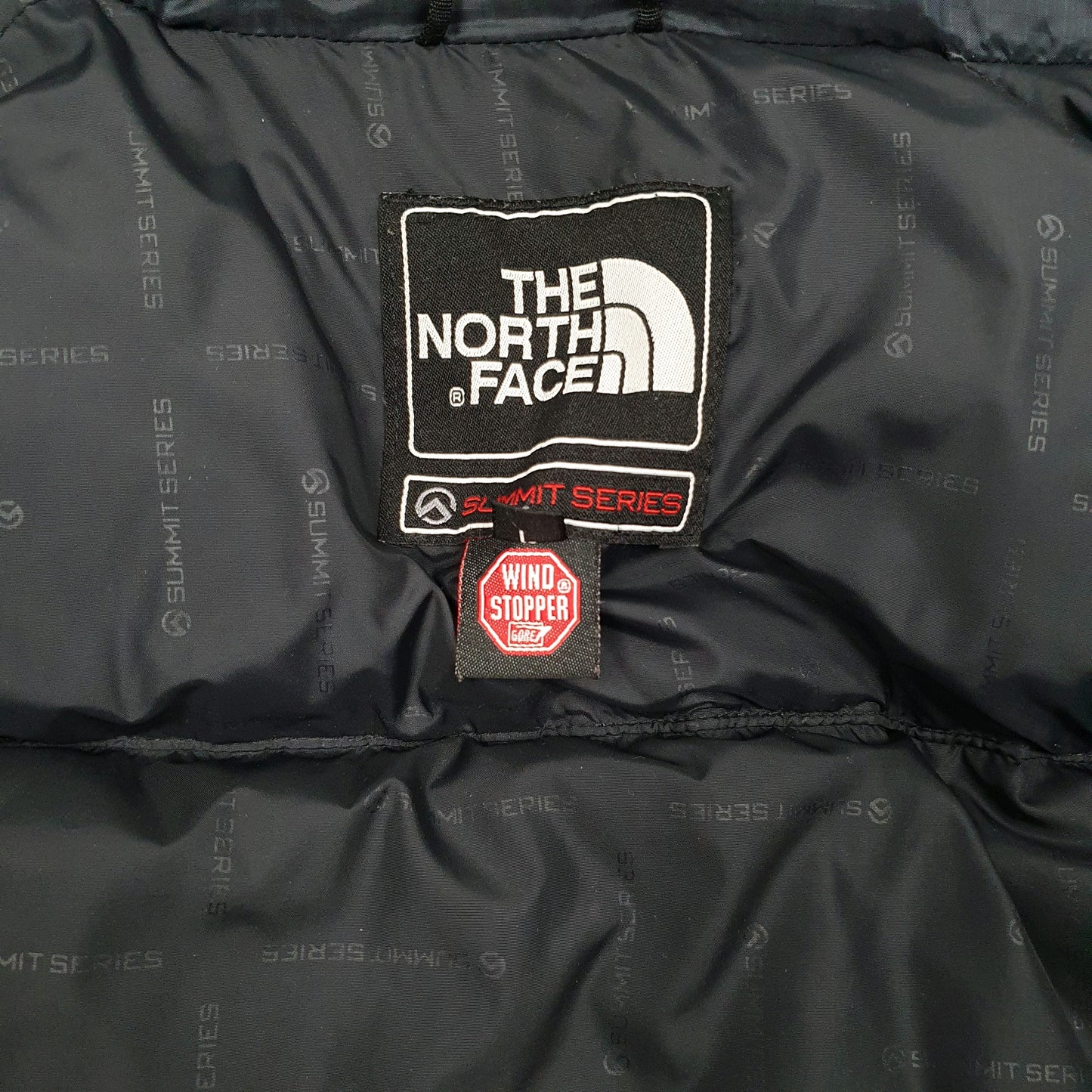 Mens Blue The North Face Summit Series Baltoro  Coat