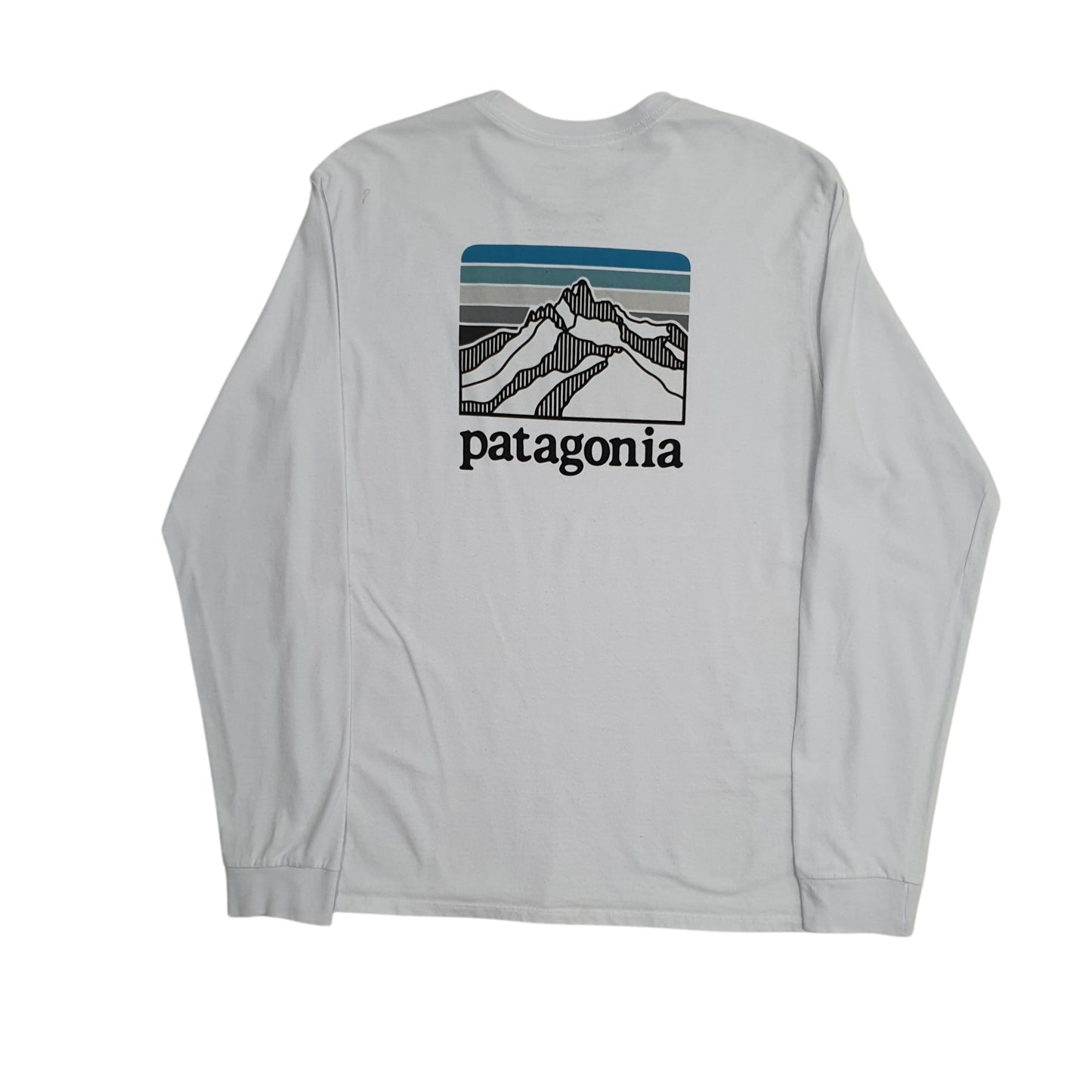 Mens Blue Patagonia   T Shirt