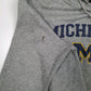 Mens Grey Nike Michigan State Hoodie Jumper