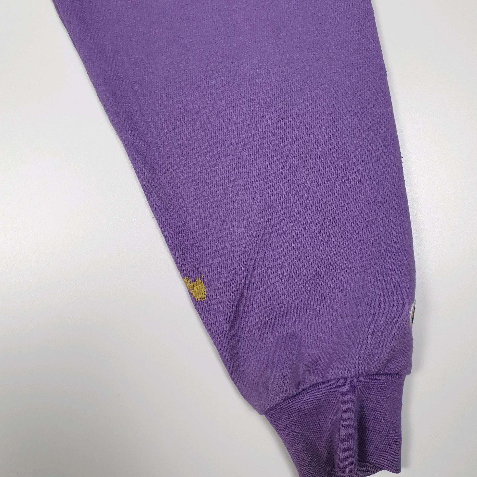 Mens Purple Champion  Hoodie Jumper