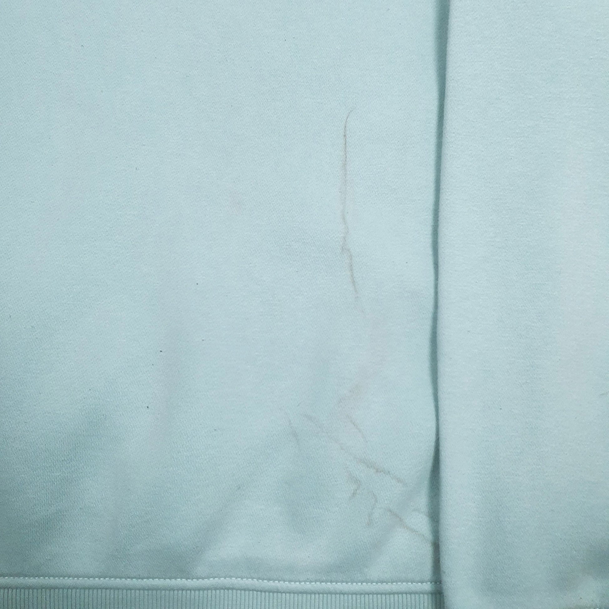 Womens Blue Carhartt  Hoodie Jumper