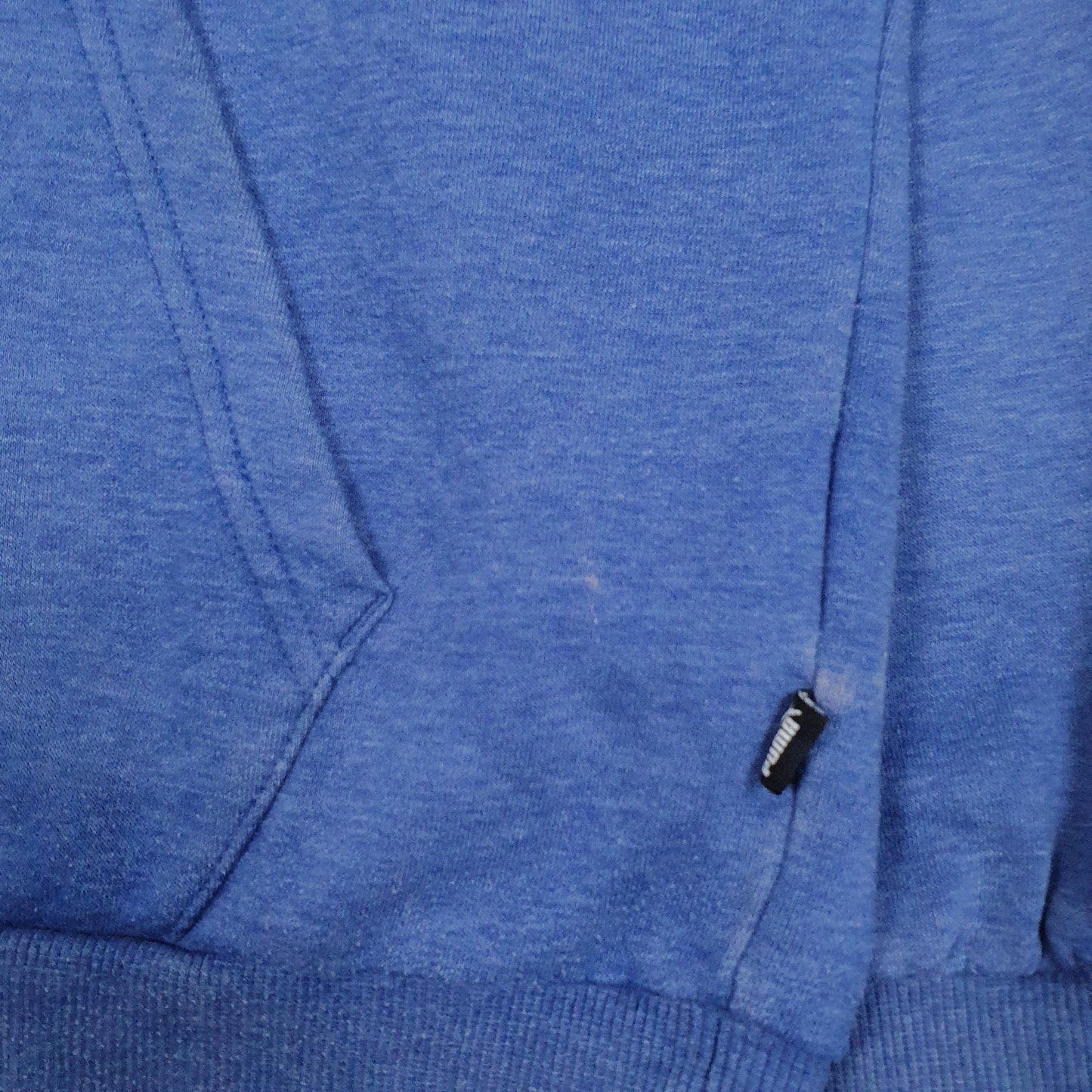 Mens Blue Puma Spellout Hoodie Jumper