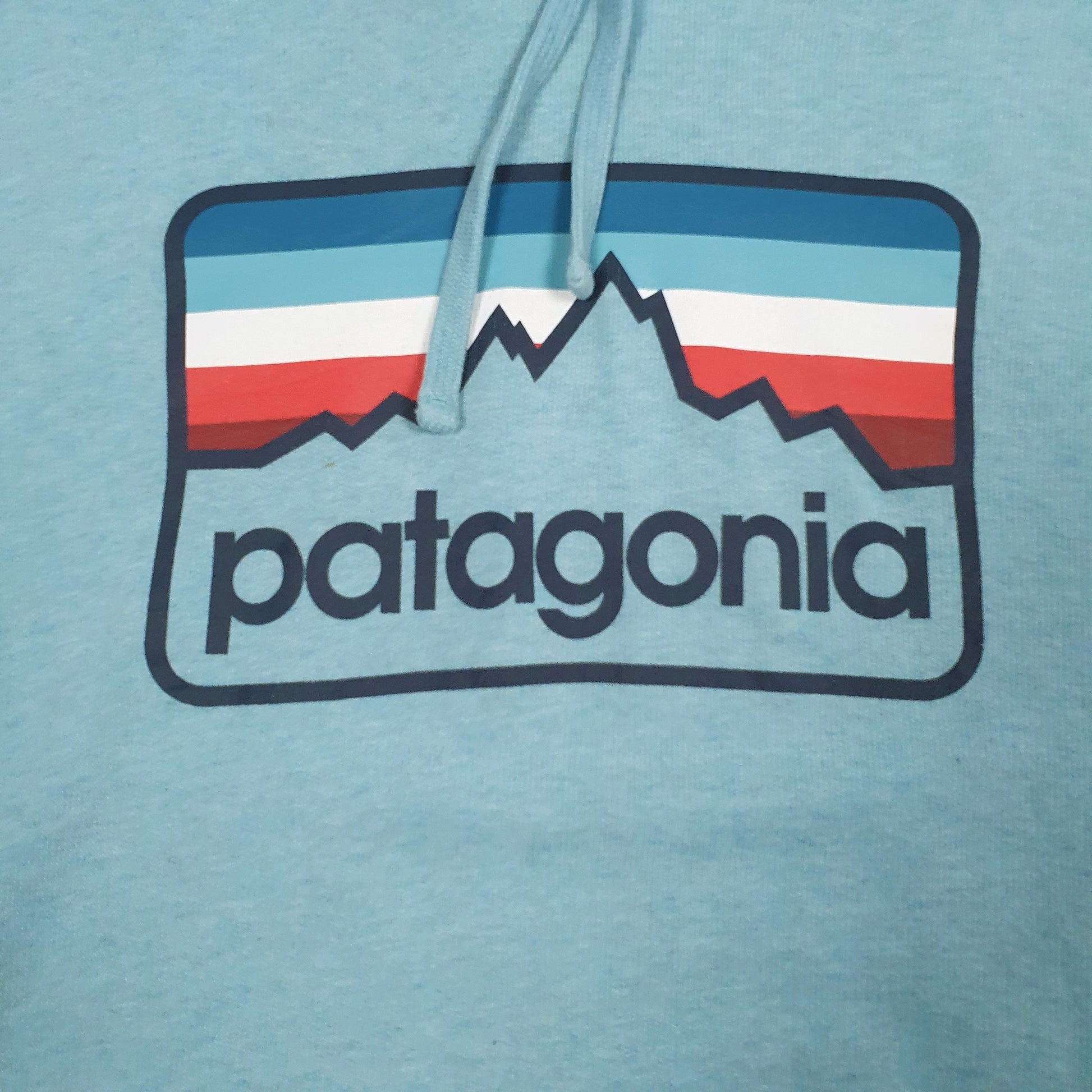 Mens Blue Patagonia Spellout Hoodie Jumper