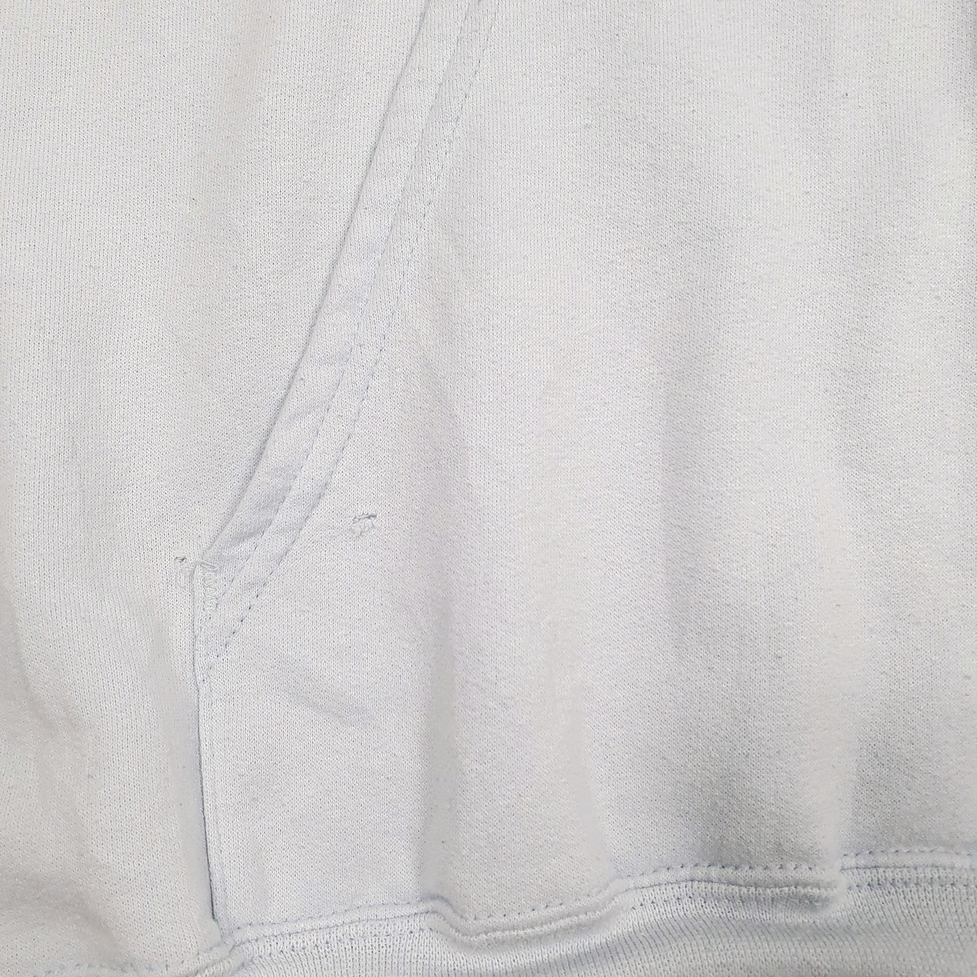 Mens Blue Champion  Hoodie Jumper