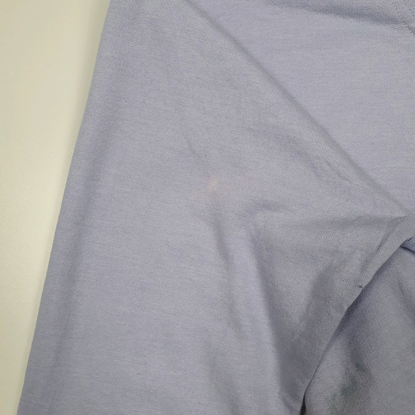Mens Purple Champion  Hoodie Jumper