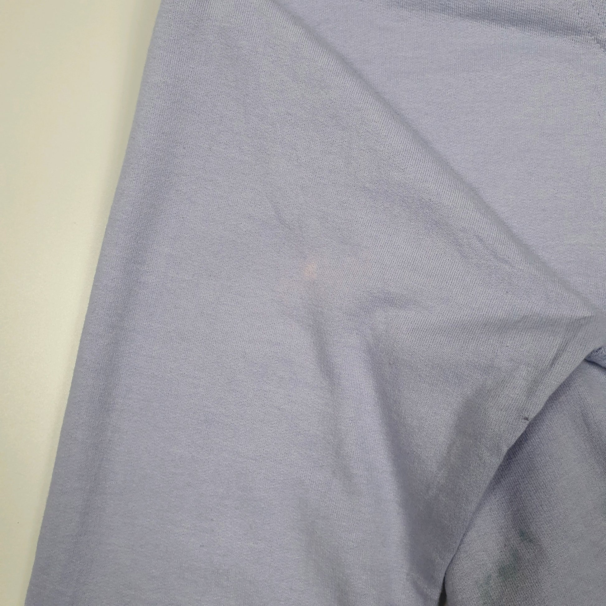 Mens Purple Champion  Hoodie Jumper