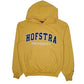 Mens Yellow Champion Hofstra University Hoodie Jumper