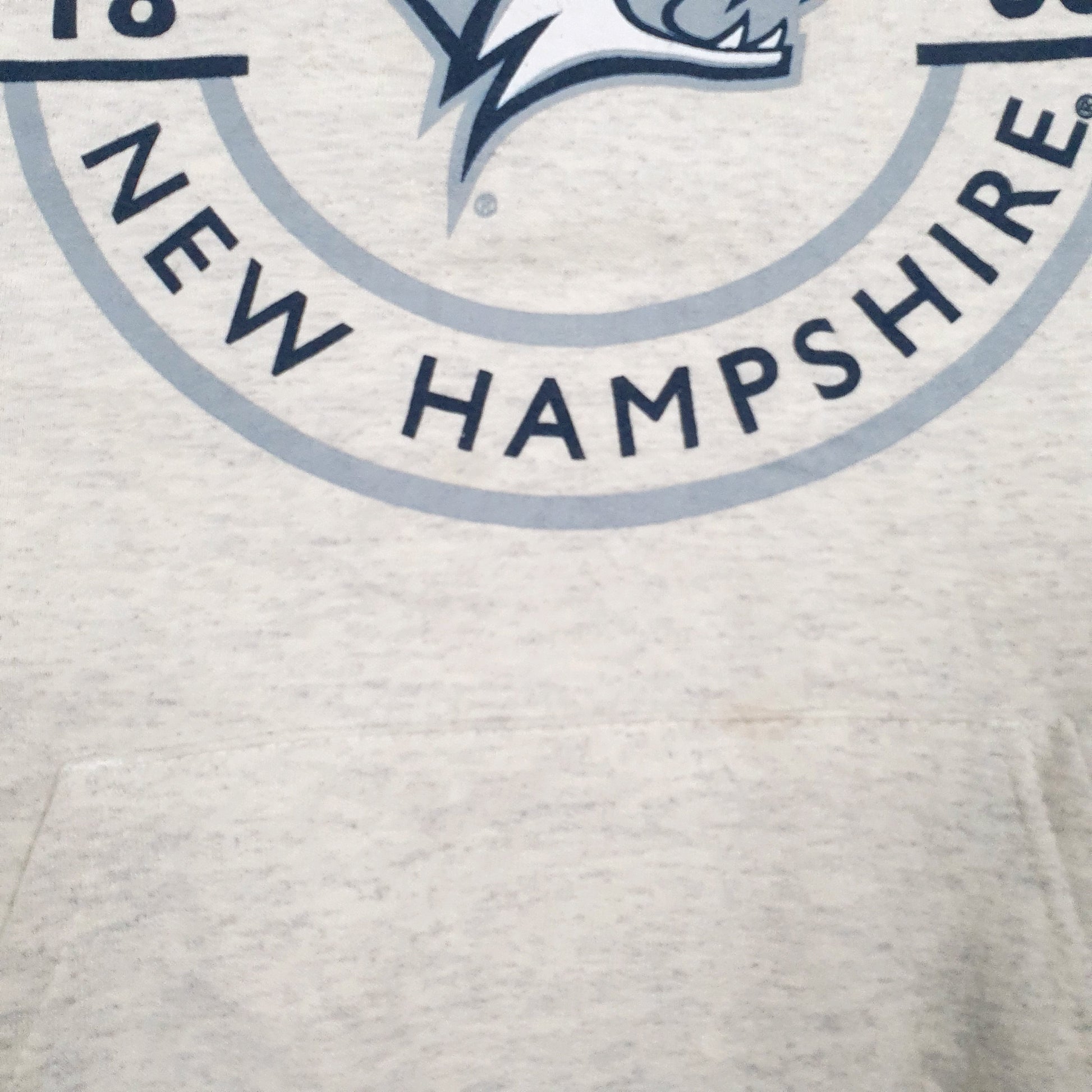 Mens Grey Champion University Of New Hampshire Hoodie Jumper