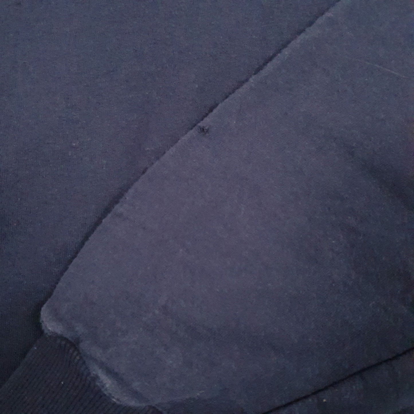 Mens Navy Champion  Hoodie Jumper