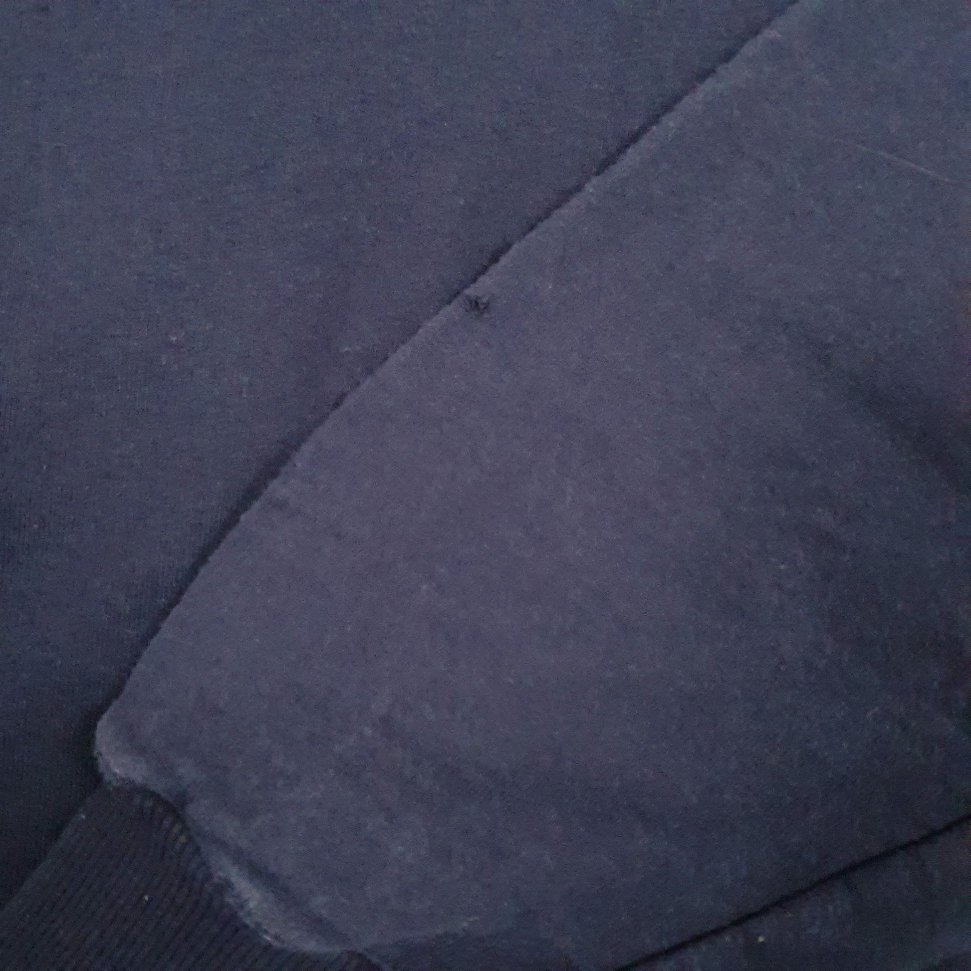 Mens Navy Champion  Hoodie Jumper