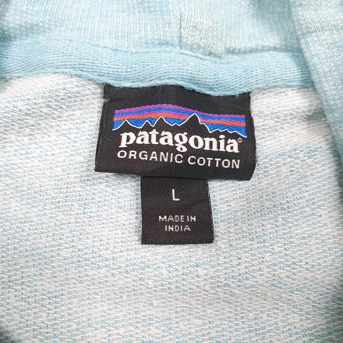 Mens Blue Patagonia Spellout Hoodie Jumper